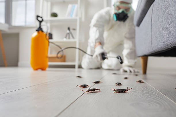 Commercial Kitchen Cockroach Control in Los Osos